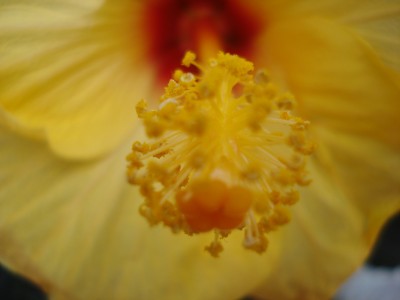 April 2008 196.jpg