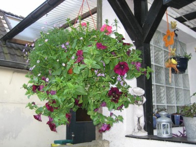 Img_2120.jpg