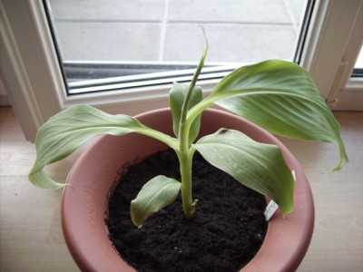 PICT0587.JPG