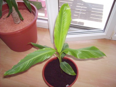 PICT0580.JPG