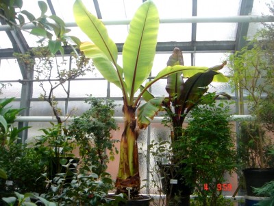 Digi 06 045.JPG