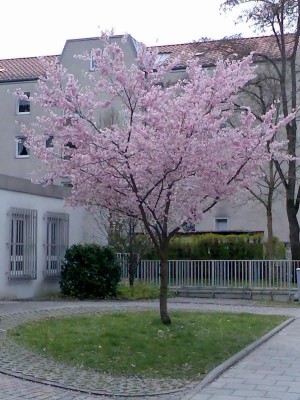 Bild 002.jpg