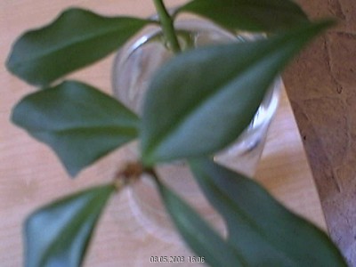 Bild 29.jpg