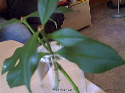 Bild 28.jpg