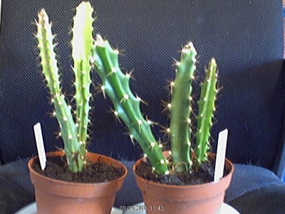 Bild 33.jpg