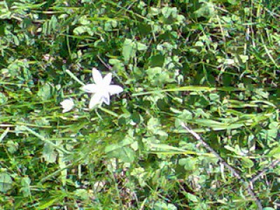 Bild 003.jpg