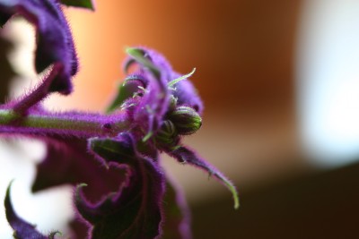 img_1128.jpg.jpg