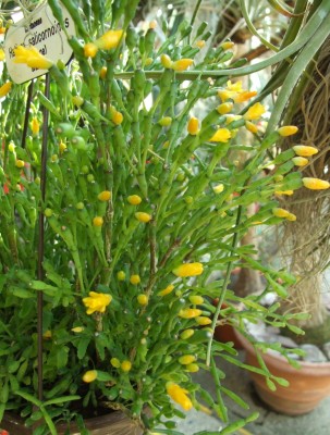 DSCF2791.JPG