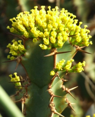 DSCF2780.JPG