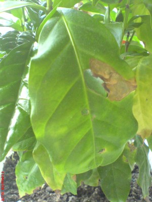 DSC00316.JPG
