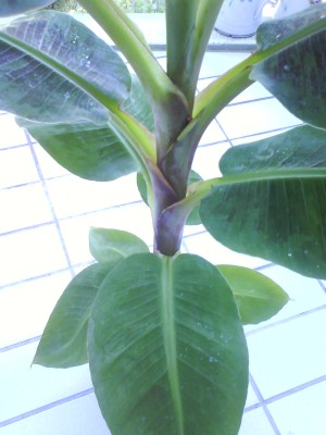 Bild 333.jpg