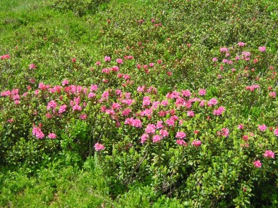 DSCN1347.JPG