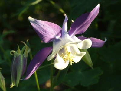 DSCF2869.JPG