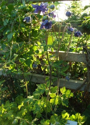 DSCF2862.JPG