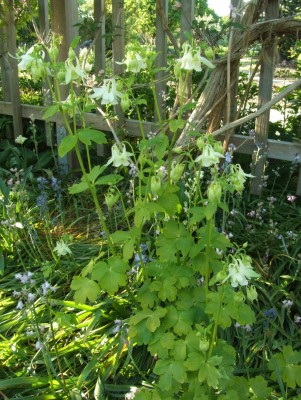 DSCF2858.JPG