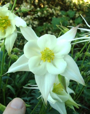 DSCF2872.JPG