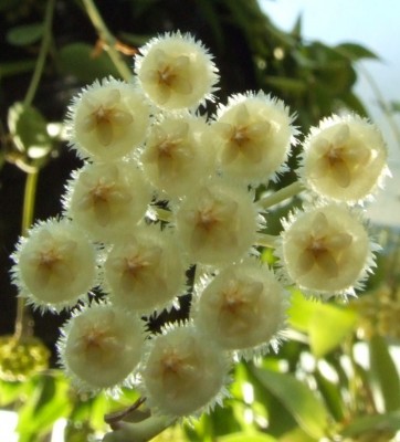 DSCF2790.JPG