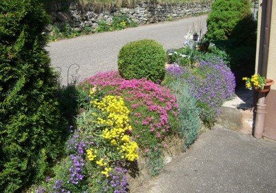 blumenbeet - Kopie.JPG