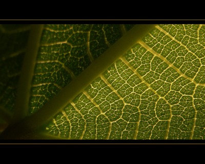 Untitled-8.jpg