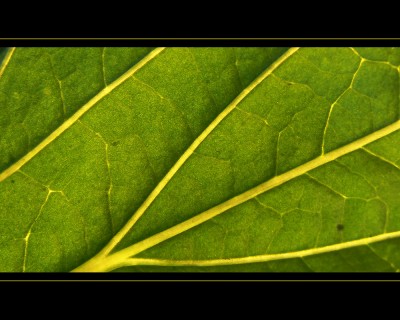 Untitled-4.jpg
