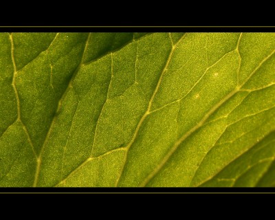 Untitled-1.jpg