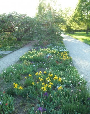DSCF2845.JPG