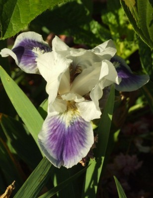DSCF2834.JPG