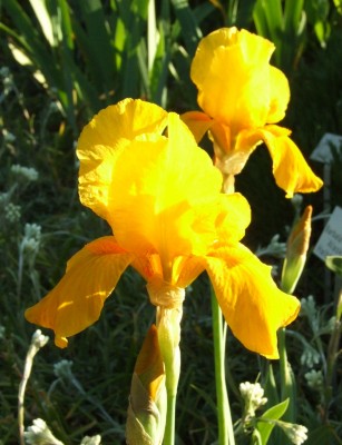 DSCF2829.JPG
