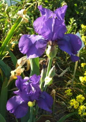 DSCF2824.JPG