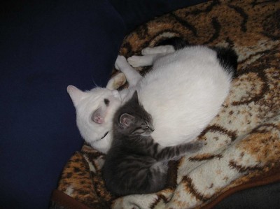 Flocke+Minka_1024x766.jpg