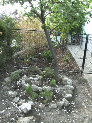 BILD0072.JPG