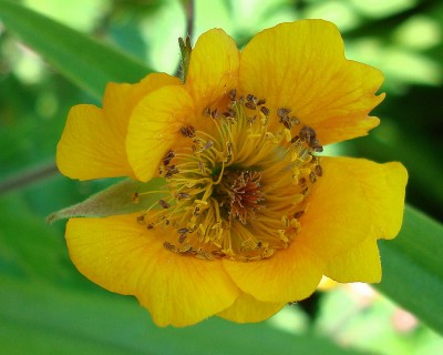 08.05.2008 geum1.jpg