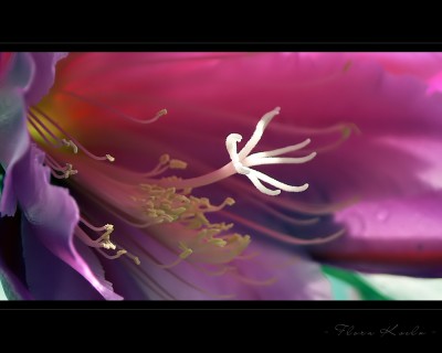 Untitled-10.jpg