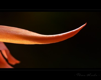 Untitled-9.jpg