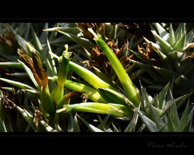 Untitled-7.jpg