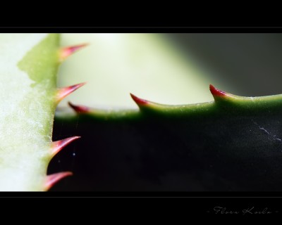 Untitled-4.jpg