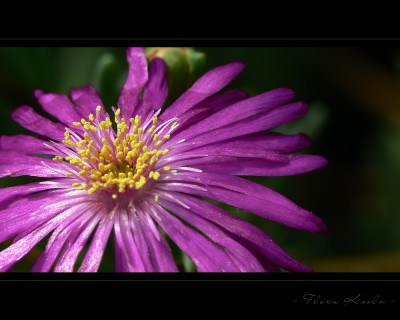 Untitled-3.jpg