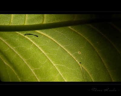 Untitled-20.jpg