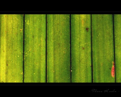 Untitled-12.jpg