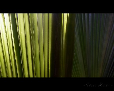 Untitled-11.jpg
