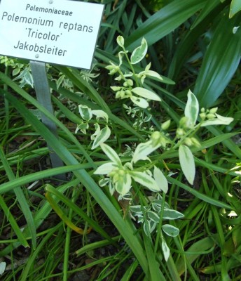 DSCF2860.JPG