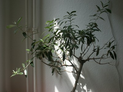 PICT0002.JPG