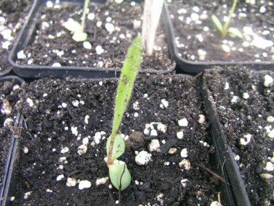 schatzkistenbabys 008.JPG