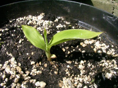 schatzkistenbabys 002.JPG