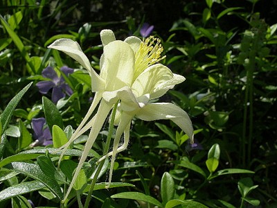 IMGP3320.JPG