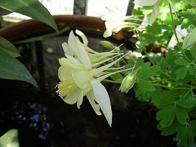 IMGP3319.JPG