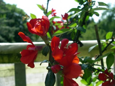 IMGP3336.JPG