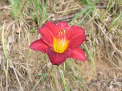 DSCF0932.JPG