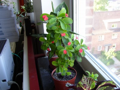 P1010328.JPG