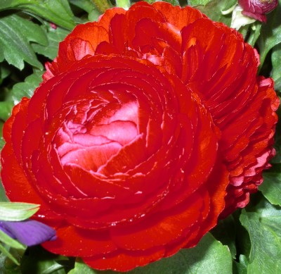 IMGP3157.bmp.jpg